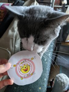 cat with sticker