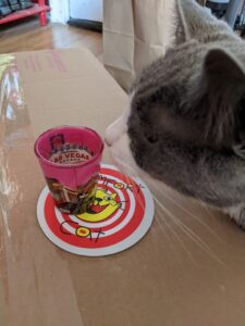 cat, next to a shot glass on a coaster